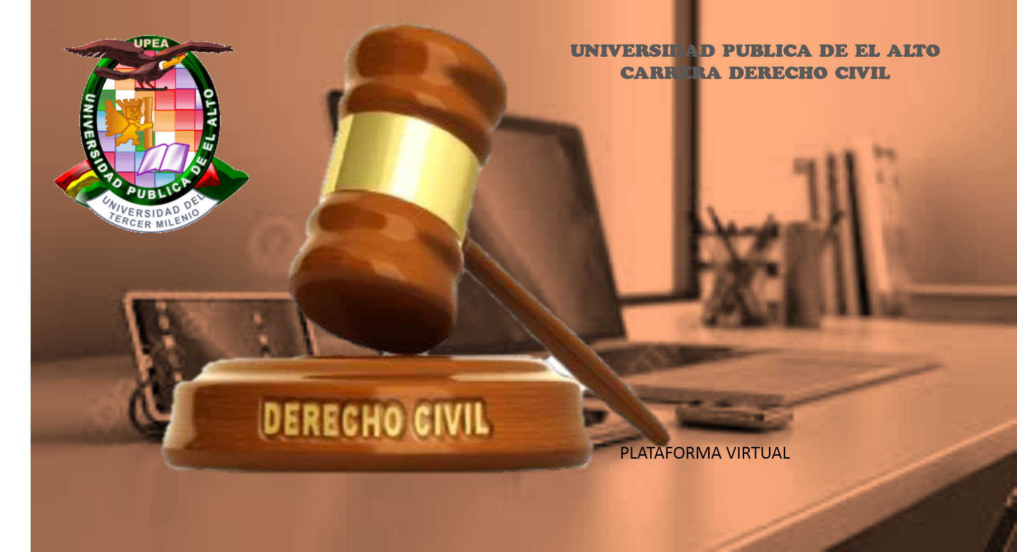 PLATAFORMA VIRTUAL DE DERECHO CIVIL